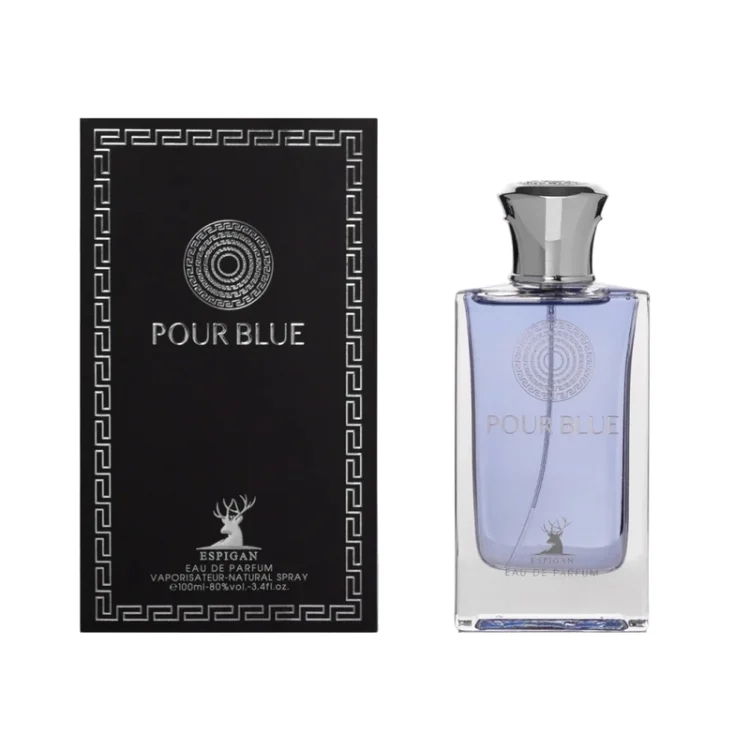 ادکلن مردانه پور بلو اسپیگان ESPIGAN POUR BLUE